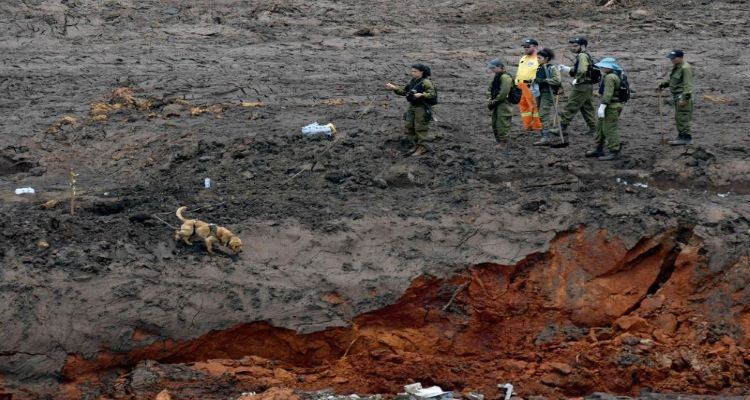 Ölümcül Felaketten Bir Yıl Sonra, Vale Piyasa Değerini Geri Kazanıyor