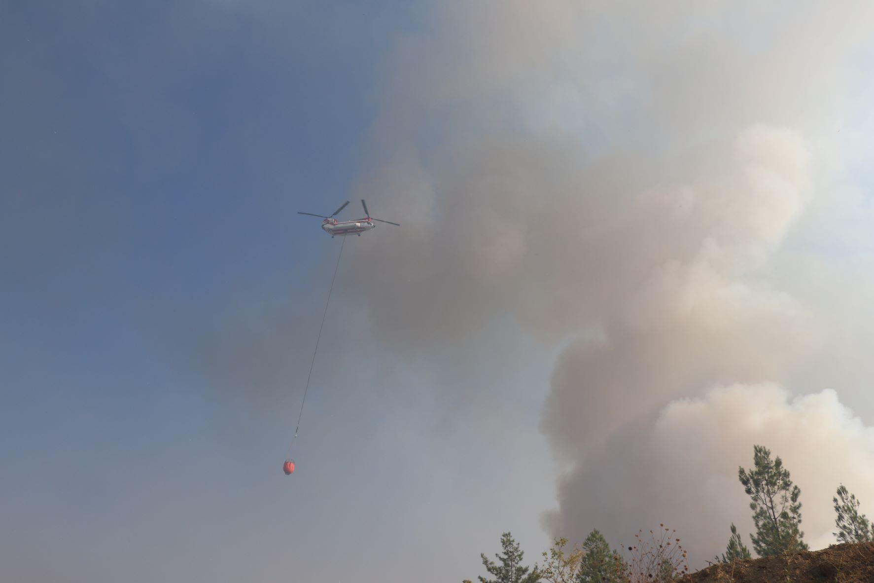 Some of the fires are under control!