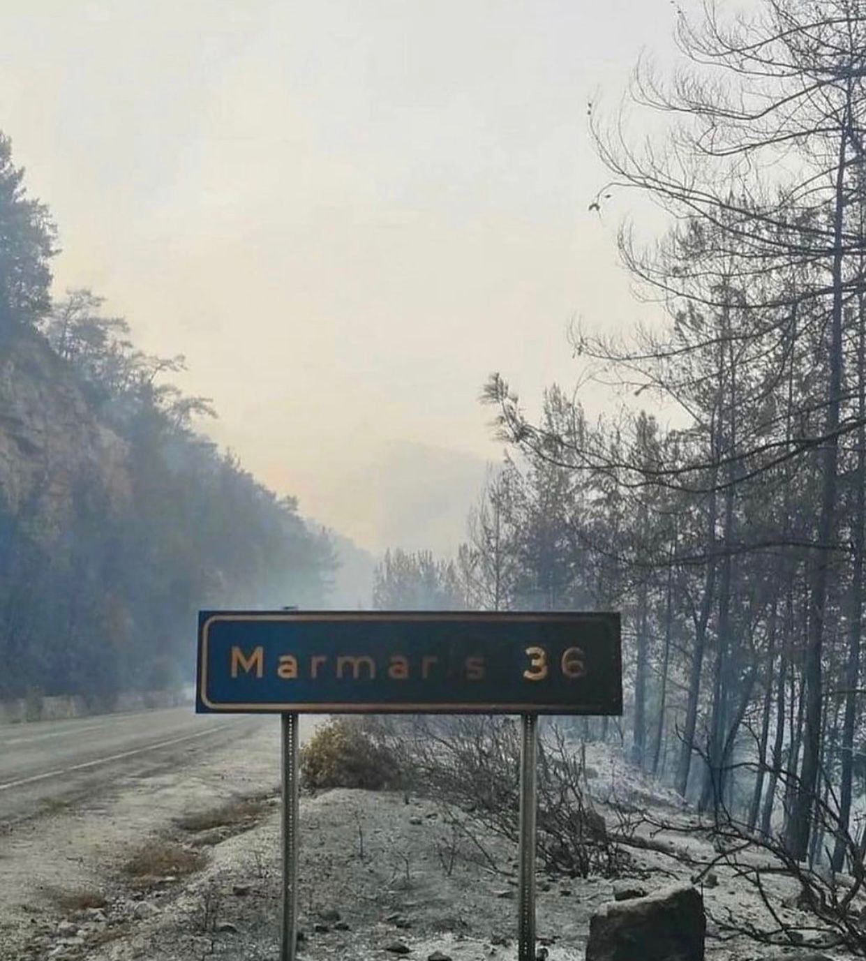 Orman yangınlarında son durum!