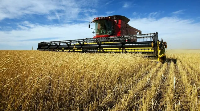 Global food prices on the rise again after 2 months