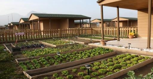 Hobi bahçeleri 50-350 bin TL aralığında satışa çıkıyor
