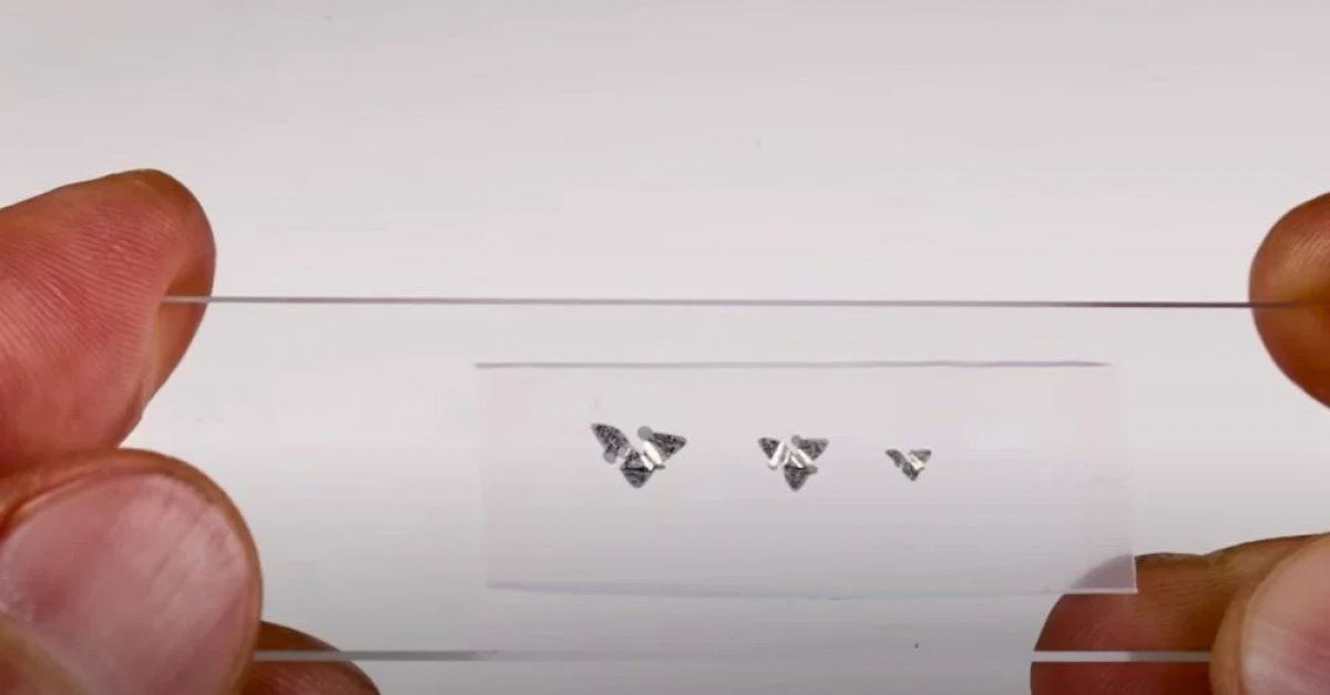 World's smallest and first flying microchip produced