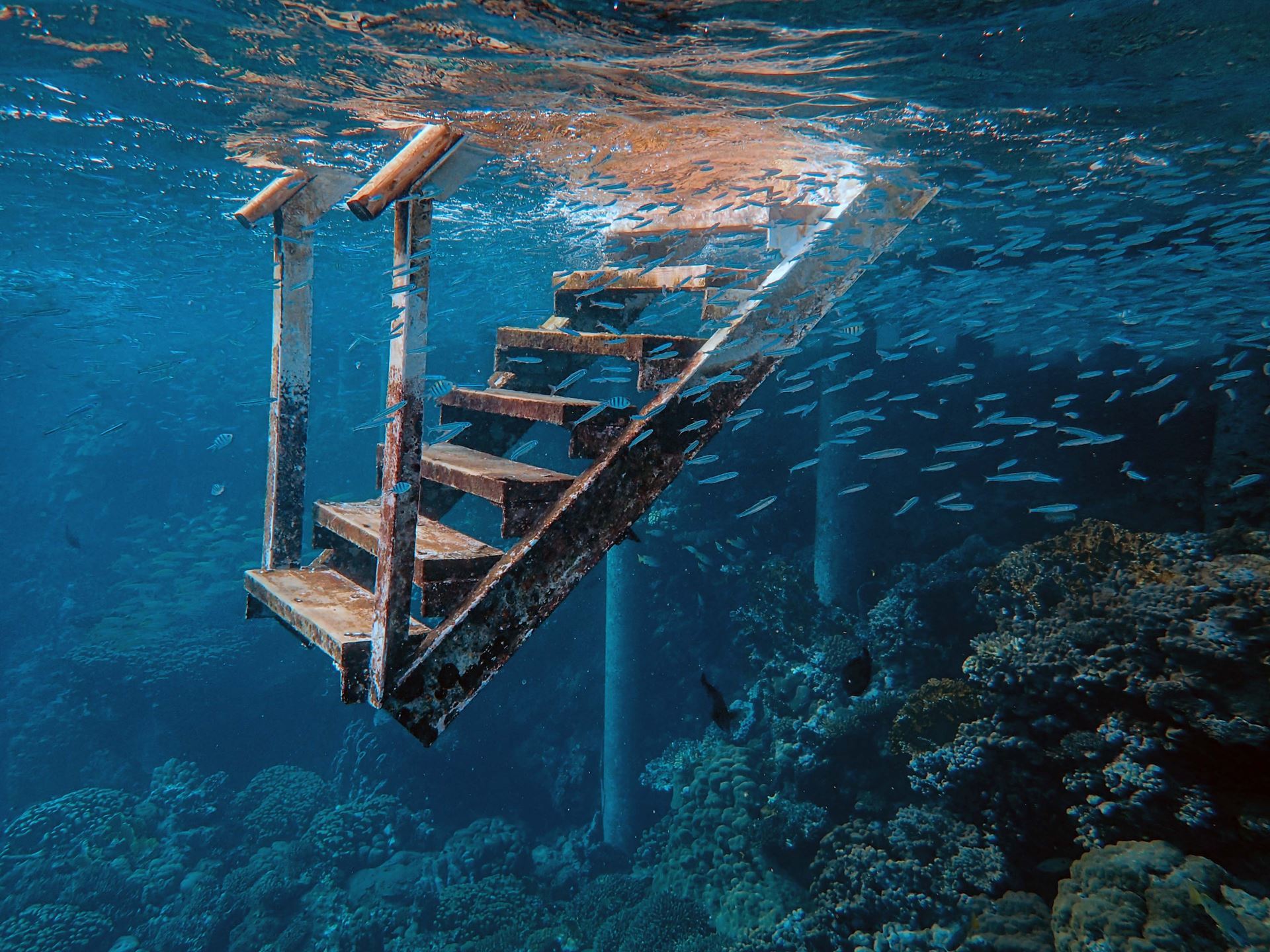 Scientists have found a way to increase the wear resistance of steel in seawater
