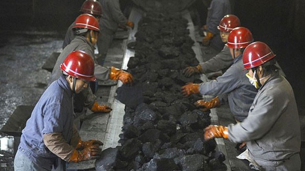 Coal prices have halved!