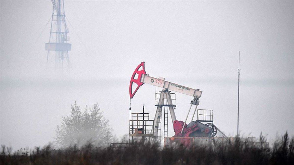 OPEC'in petrol üretimi Kasım'da 290 bin varil arttı