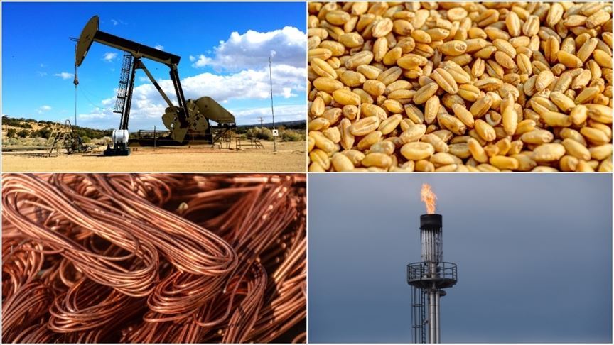 Commodity prices bounced back from record highs last week