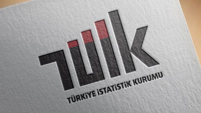 TÜİK teşkilatına yeni birim eklendi