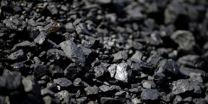 Taiwan’s coal imports drop in November