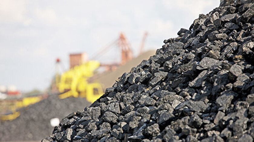 World coal consumption rises this year