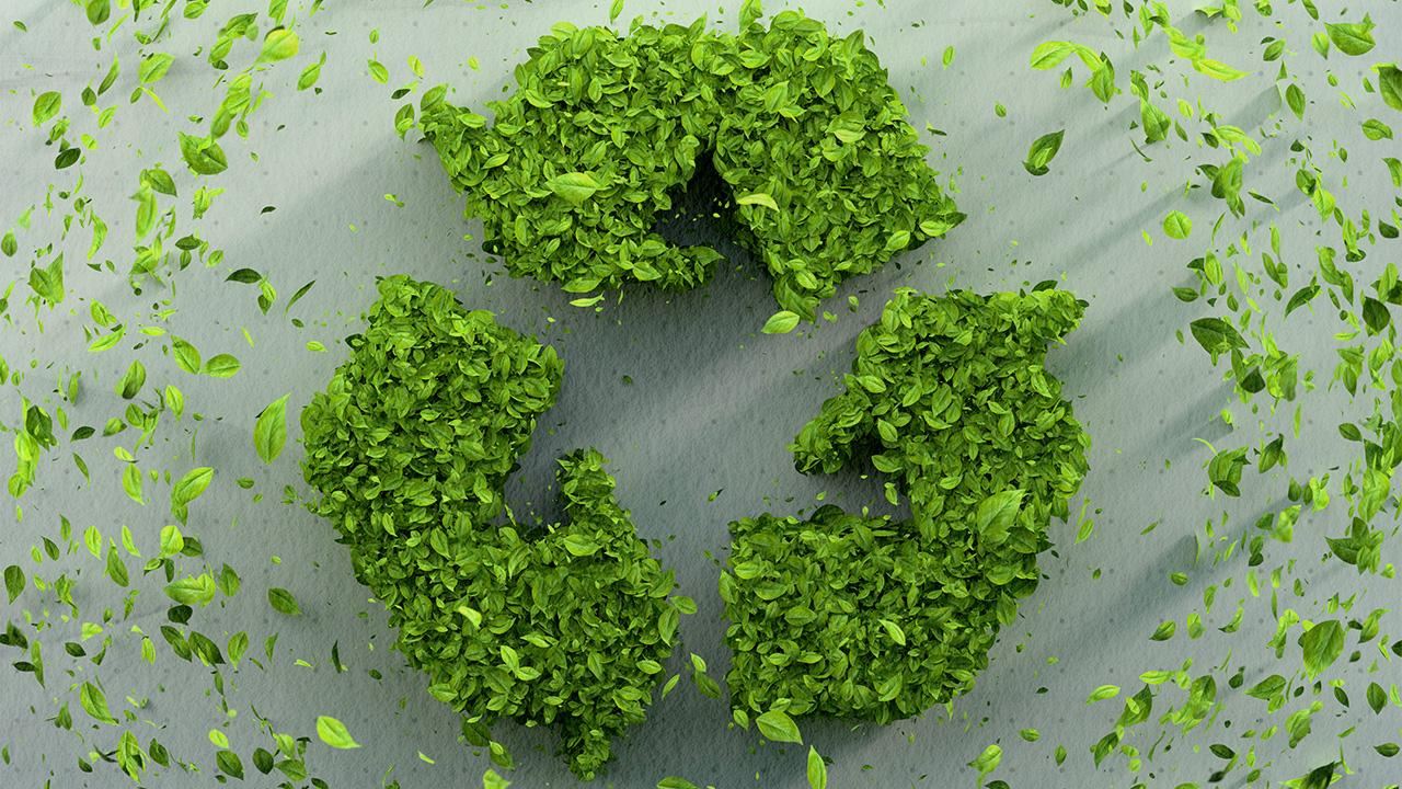 Taiwan targets zero carbon emissions by the end of 2024