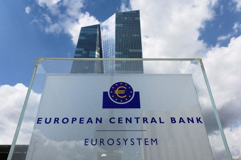 The European Central Bank believes that the interest rate cycle will continue