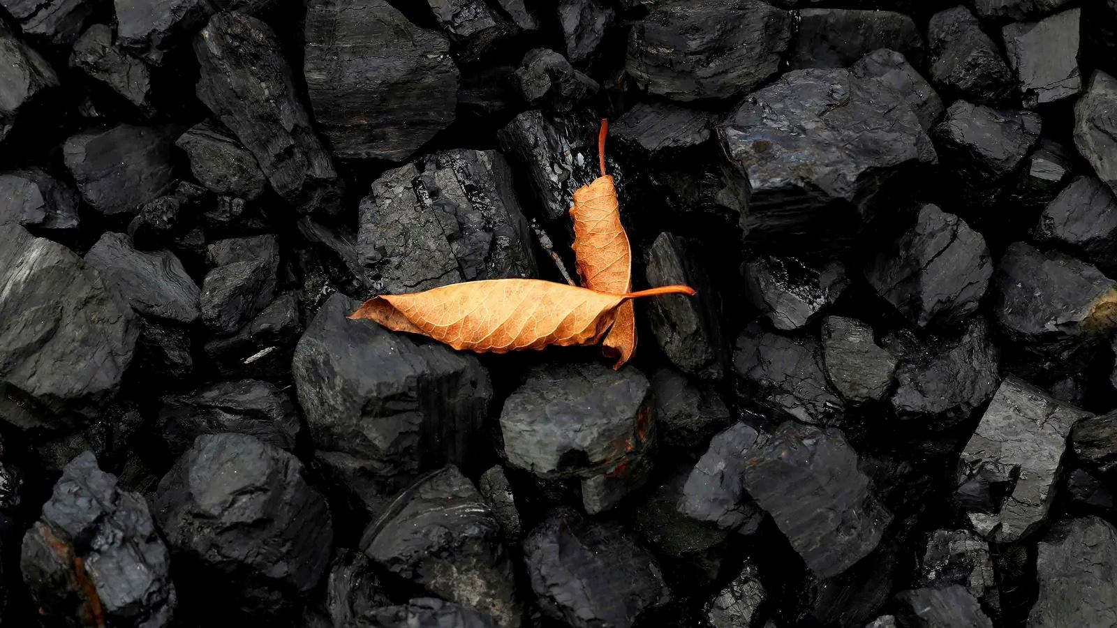 China's coking coal imports increased