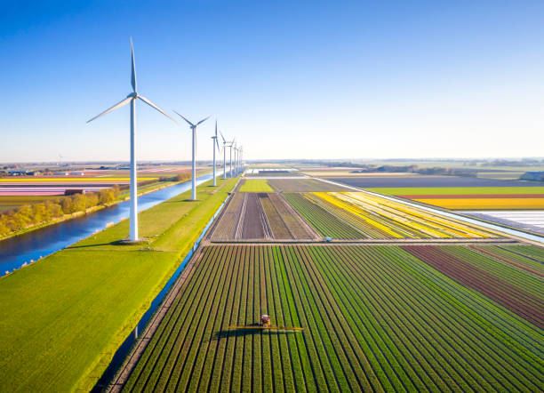 İzmir is a pioneer in Wind Energy