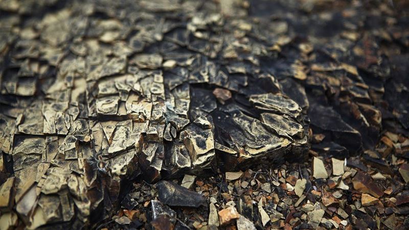 Iron ore prices are changing in the global market