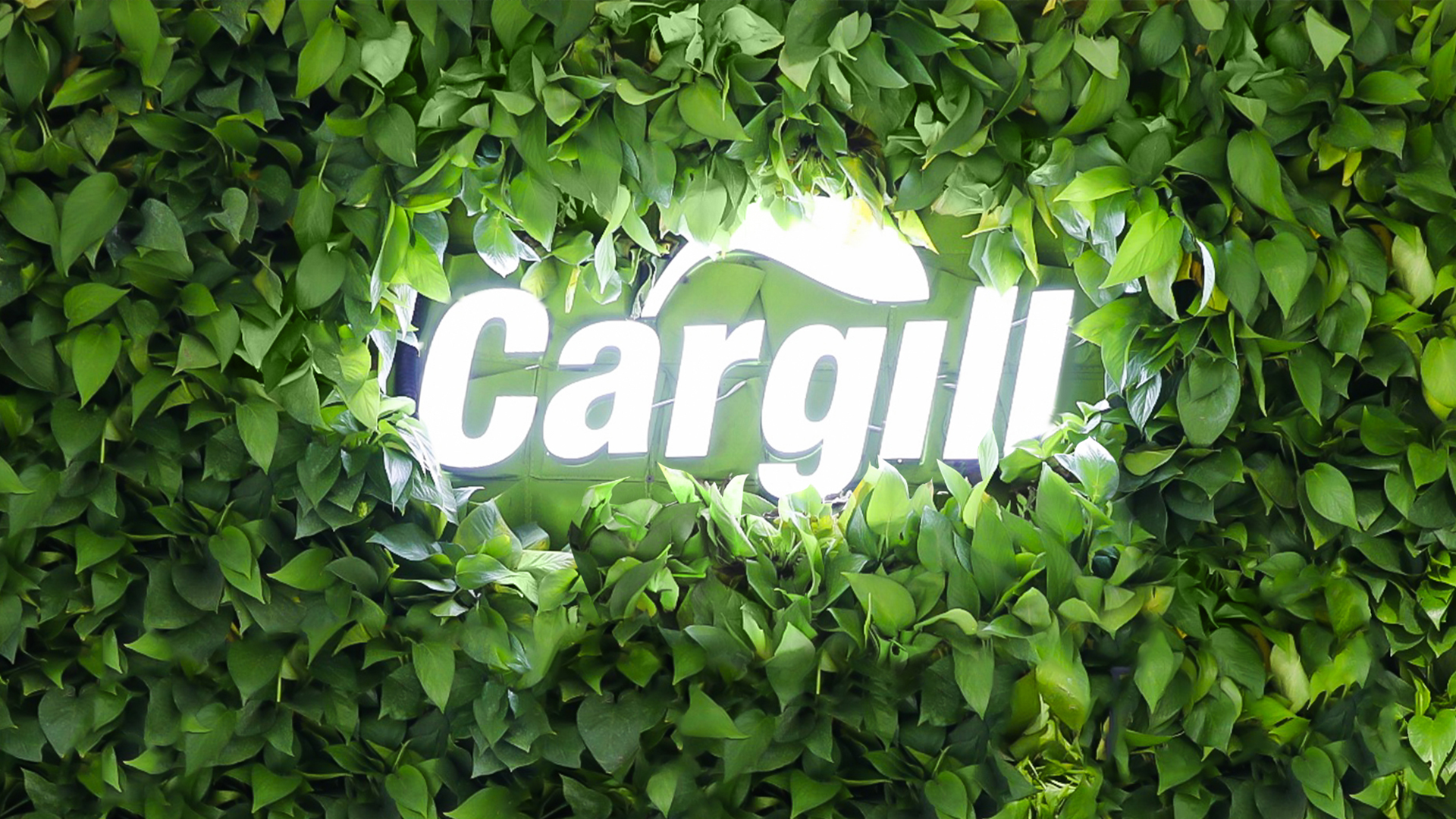 Cargill ve H2 Green Steel arasında çok yıllı sözleşme imzalandı