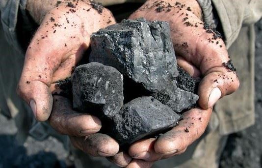 Global coal consumption has increased