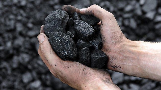 Vietnam's coal imports fell 