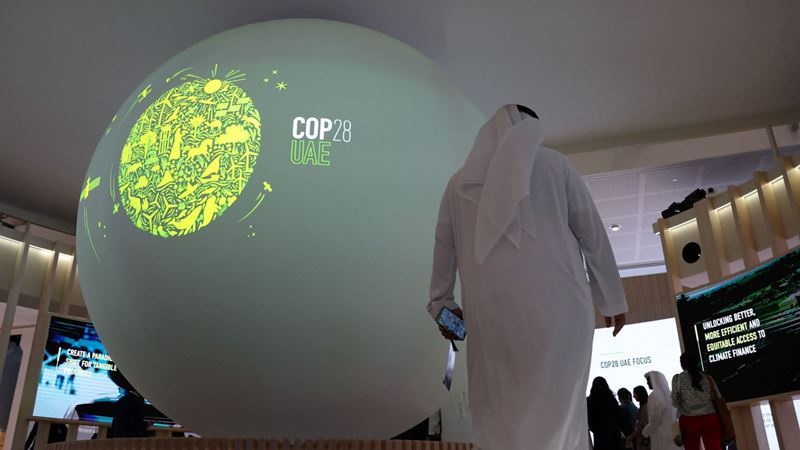 Birleşik Arap Emirlikleri, Afrika'nın iklim direncini artırmak için 100 milyar dolar çağrısında bulundu