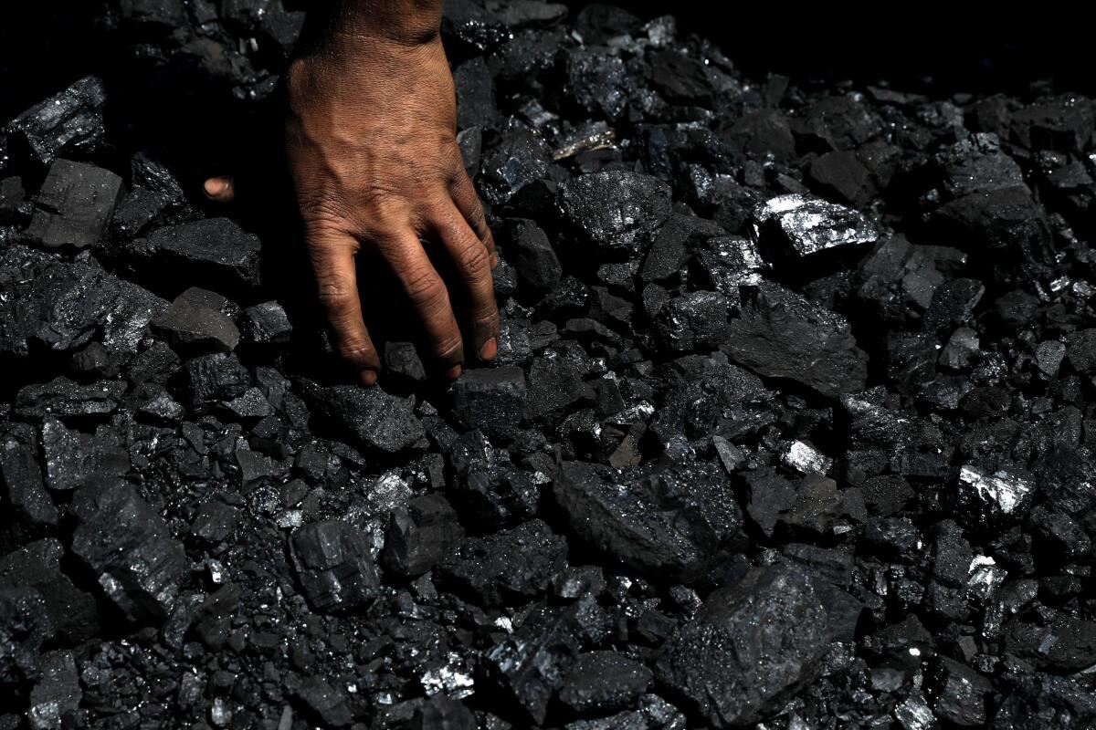 China increased coal imports 