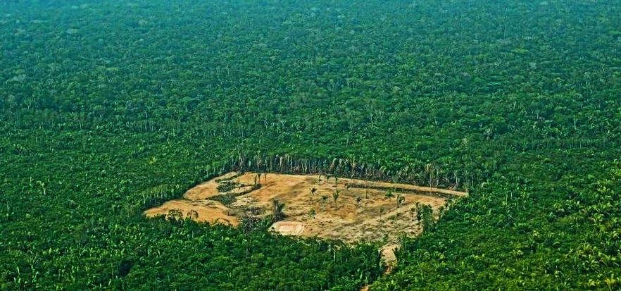 Brazilian investors await congressional approval for carbon regulation