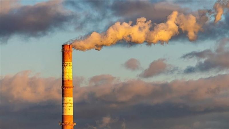 Global carbon storage capacity increased by 27 % in 5 years 