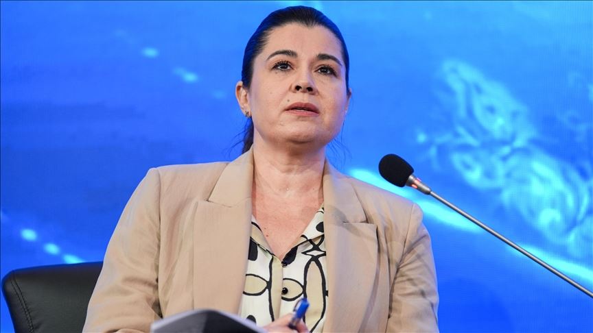 Türkiye sistem dönüşümüyle yeni küresel enerji dengesinin "kazananı" olabilir