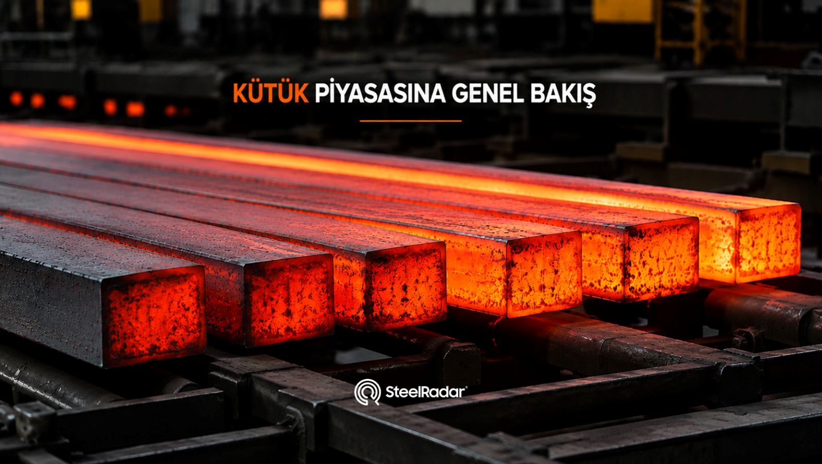 Kütük Piyasası Değerlendirmesi | 16 Temmuz, 2026