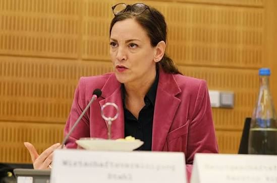 WV Stahl: 2027 bütçesinde sanayinin öncelikleri korunmalı