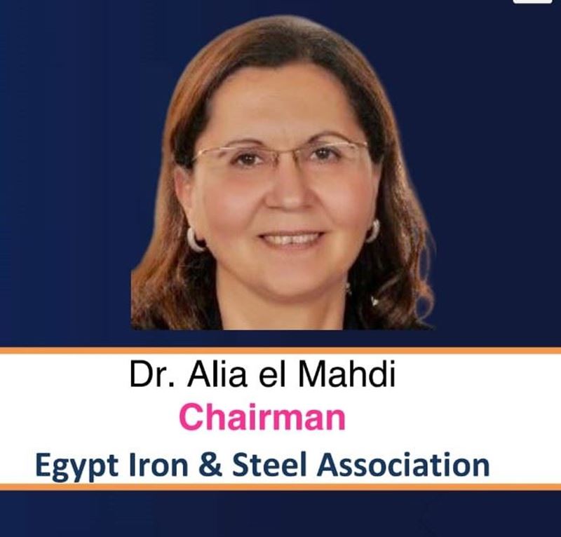 Dr. Alia el Mahdi assessed the North African iron and steel sector at the Global Steel Summit