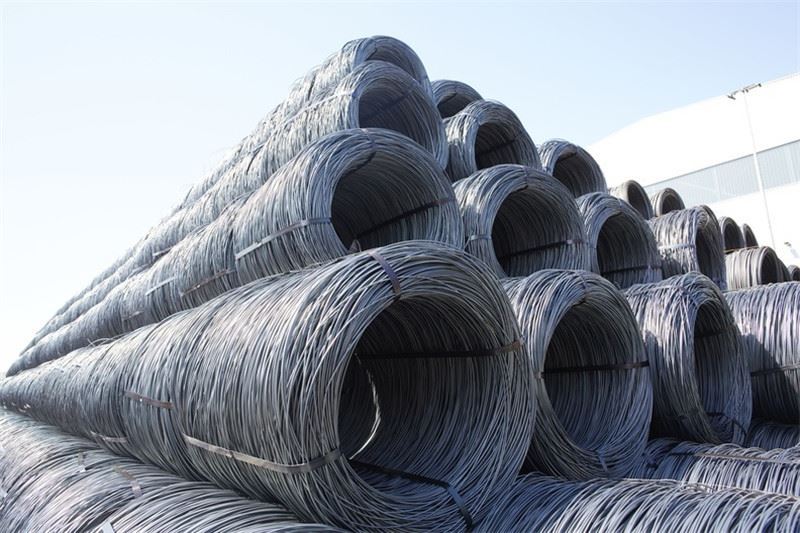 Global steel wire rod prices fluctuate amid diverse market conditions