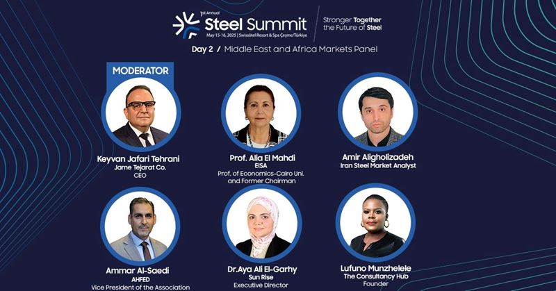 New Steel Investments in the Middle East and Africa: Sustainability and Growth