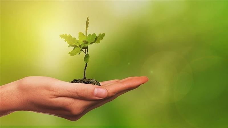 Green transformation roadmap can be prepared by investors in Türkiye