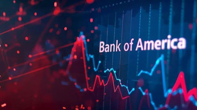 Bank of America turned to steel stocks: Kardemir and Erdemir ranked first and second