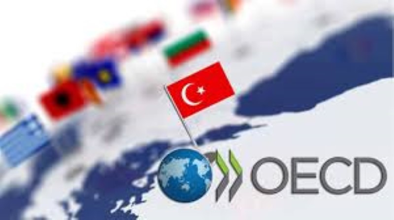 OECD, Küresel Büyüme Tahminlerini Düşürdü