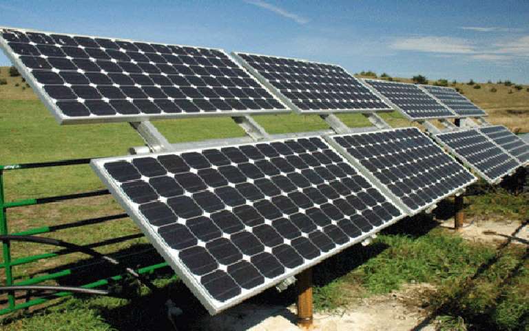 Türkiye'nin İlk Güneş Enerjili Serasında Üretim Başladı