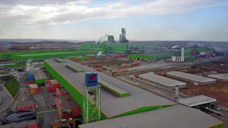 Tosyali Cezayir, İlk Kütük İhracatını gerçekleştiriyor