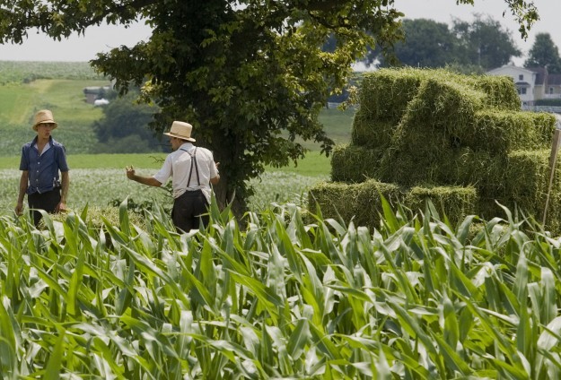 ABD'de Tarım Dışı İstihdam Beklentilerin Altında Kaldı