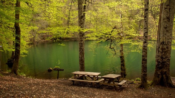 Her Kentte Özel Eylem Planı