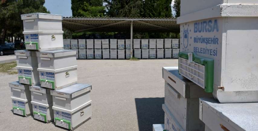 Kırsal Kalkınmayla Köyden Kente Göçü Bitirecek