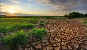 Altyapı Ve Susuzluk Sorunlarına Çözüm Getirecek En Son Teknolojiler İstanbul’da 