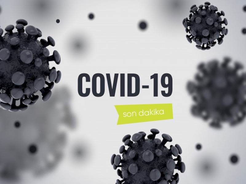 Lamalardan alınan iki antikor, laboratuvar ortamında Kovid-19'u etkisizleştirdi