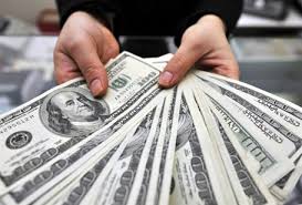 Merkez Bankasının Günlük Dolar Satışı