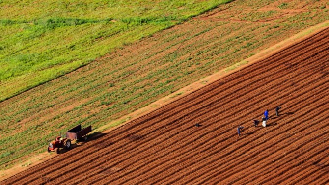 Türk Yatırımcıların Gözü Sudan'daki Tarım Arazilerinde