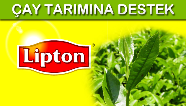 Lipton ''Sürdürülebilir Tarım Projeleri'' ile çayın ömrünü uzatmayı hedefliyor 