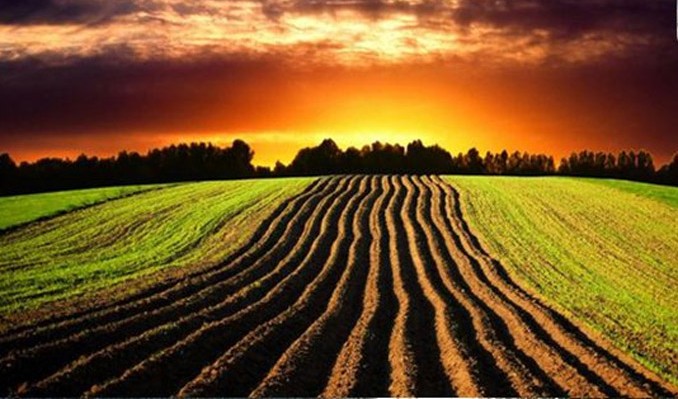 'Arazi Bankacılığı' Geliyor