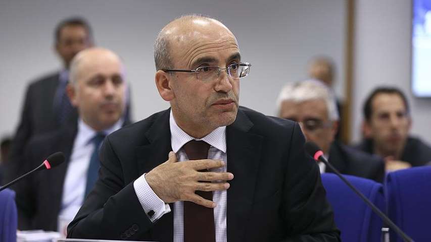 Başbakan Yardımcısı Şimşek'ten BES Açıklaması