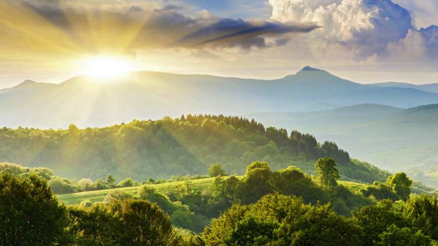 Doğanın Mimarları