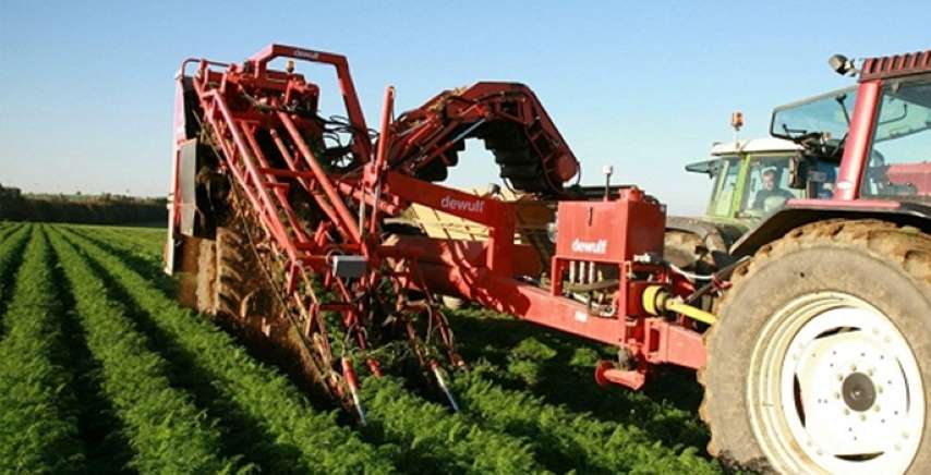 Bitkisel Üretim Arttı