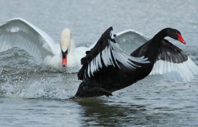 Gedik Yatırım 2019 Yılına İlişkin Strateji Raporu Yayınladı