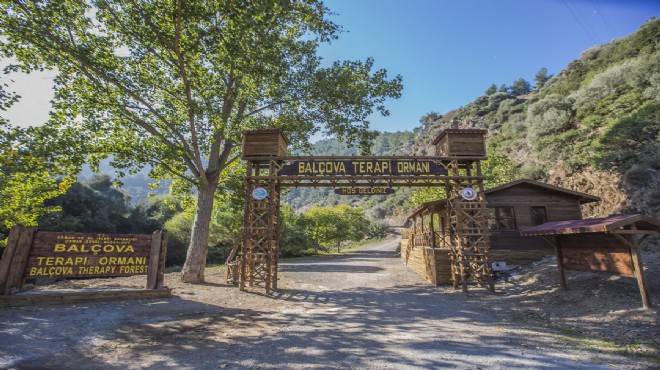 Bakanlıktan İzmir'e 3 Şehir Ormanı, 66 Mesire Yeri